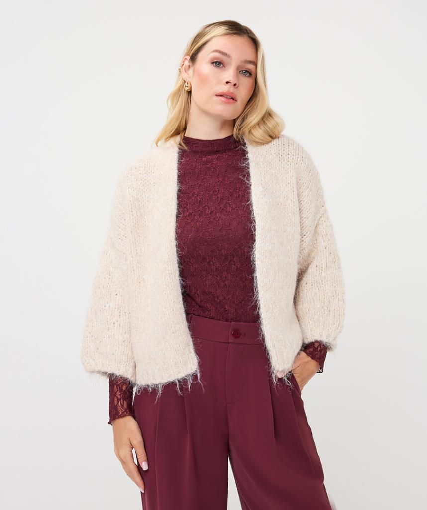 Esqualo_Cardigan_balloon_slve_biscuit_Hilnetta_s_1
