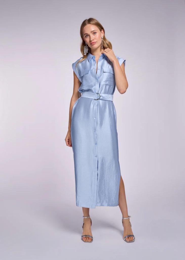 Freebird_Demma_Dress_Classic_Blue_Hilnetta_s