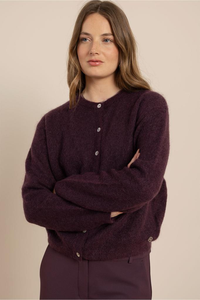 Studio_Anneloes_Bibi_cardigan_aubergine_Hilnetta_s