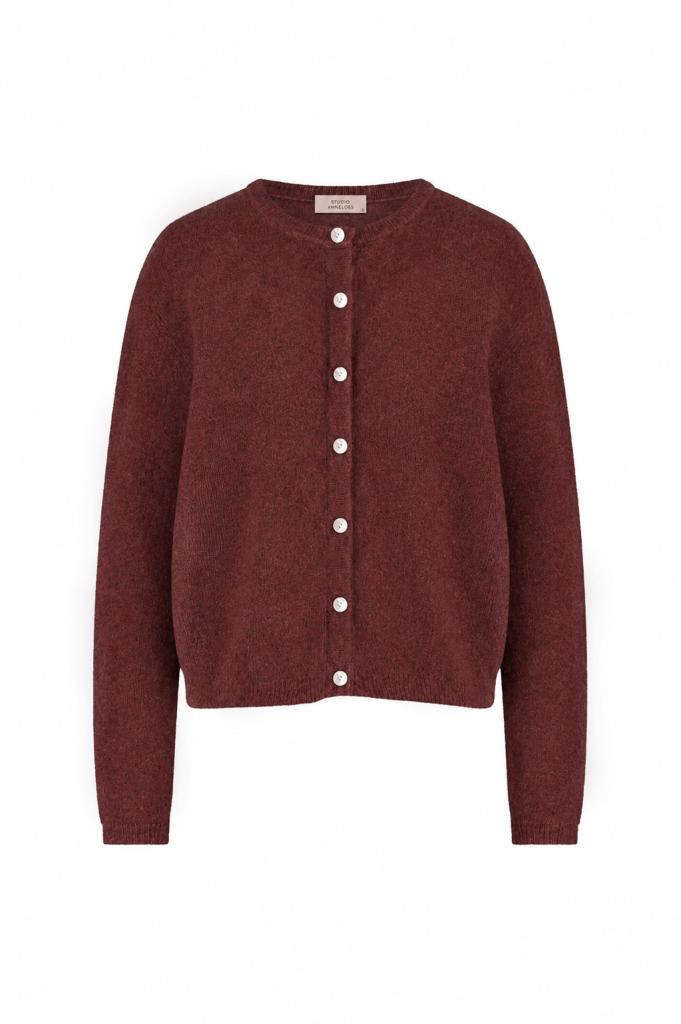 Studio_Anneloes_Bibi_cardigan_chestnut_Hilnetta_s