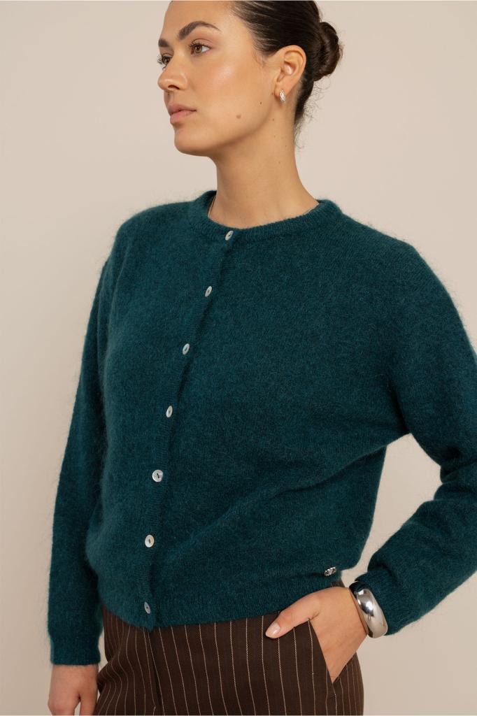 Studio_Anneloes_Bibi_cardigan_teal_Hilnetta_s
