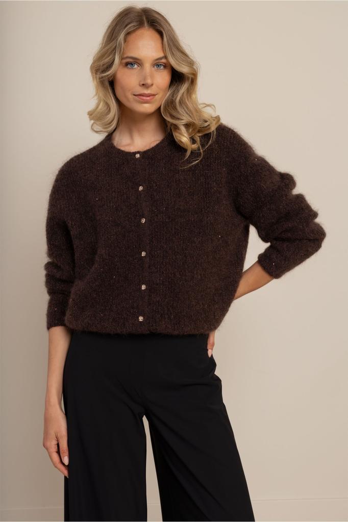 Studio_Anneloes_Bibi_sparkle_cardigan_espresso_Hilnetta_s