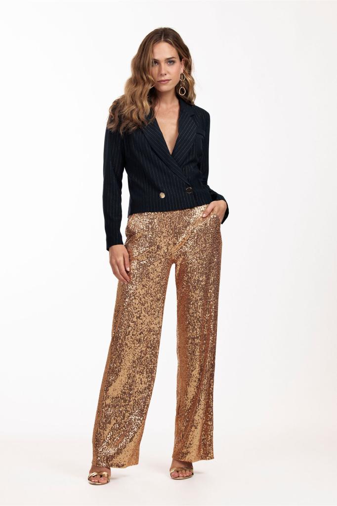 Studio_Anneloes_Tracey_pailetten_trousers_gold_More_of_Me