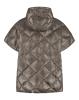 Deblon_Carice_cape_cacao_Hilnetta_s_6
