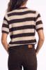 Florez_Evie_brown_stripe_Hilnetta_s_3