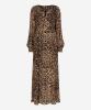 Ibana_Dix_Leopard_Hilnetta_s_1
