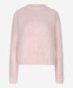 Ibana_Konia_Primrose_Pink_Hilnetta_s_1
