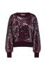 Studio_Anneloes_Lilly_sequins_pullover_blackberry_merlot_Hilnetta_s_3