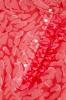 Studio_Anneloes_Odette_crepe_sls_top_red_new_coral_Hilnetta_s_1